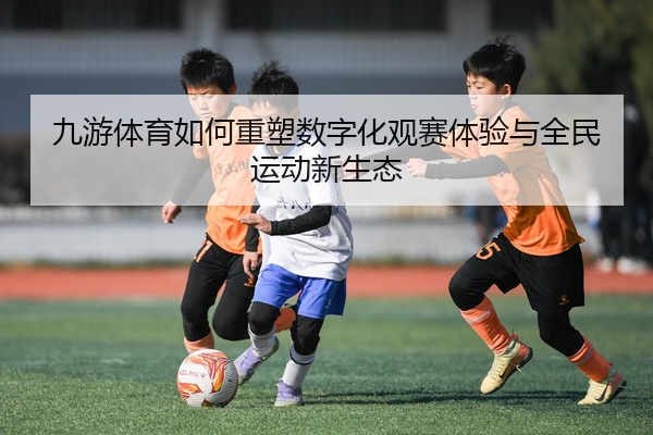 九游体育如何重塑数字化观赛体验与全民运动新生态